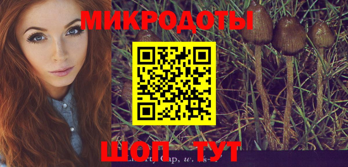 Галлюциногенные грибы мицелий  Галлюциногенные грибы мицелий  Вход с VPN  Ейск 