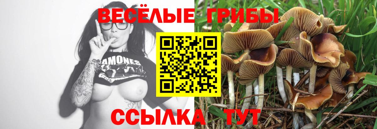 Псилоцибиновые грибы MAGIC MUSHROOMS Ейск